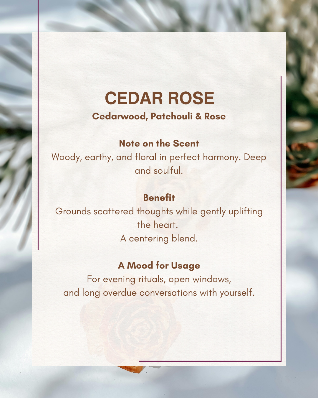 Glass Scented Candle : Cedar Rose Candle