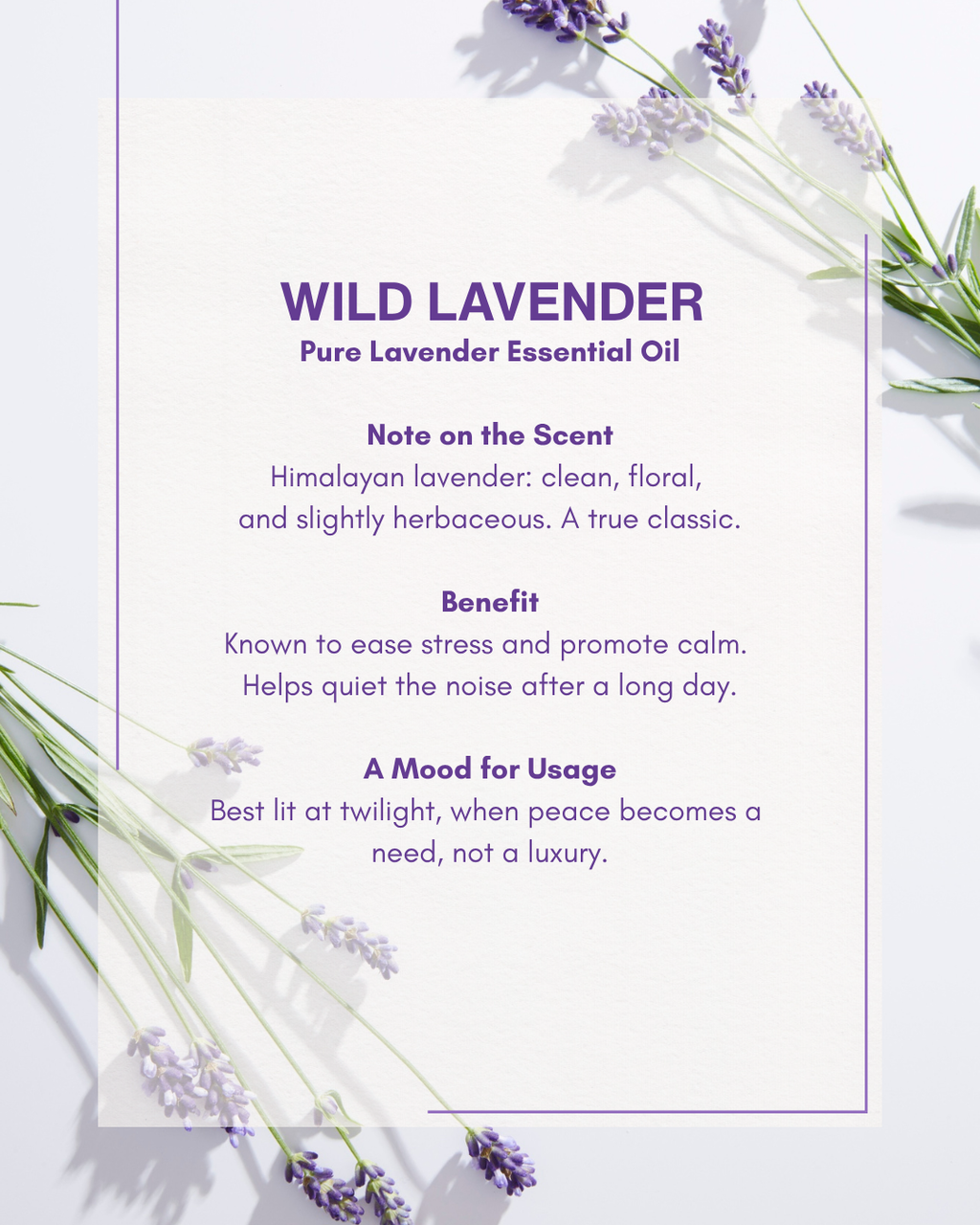 Glass Scented Candle : Wild Lavender