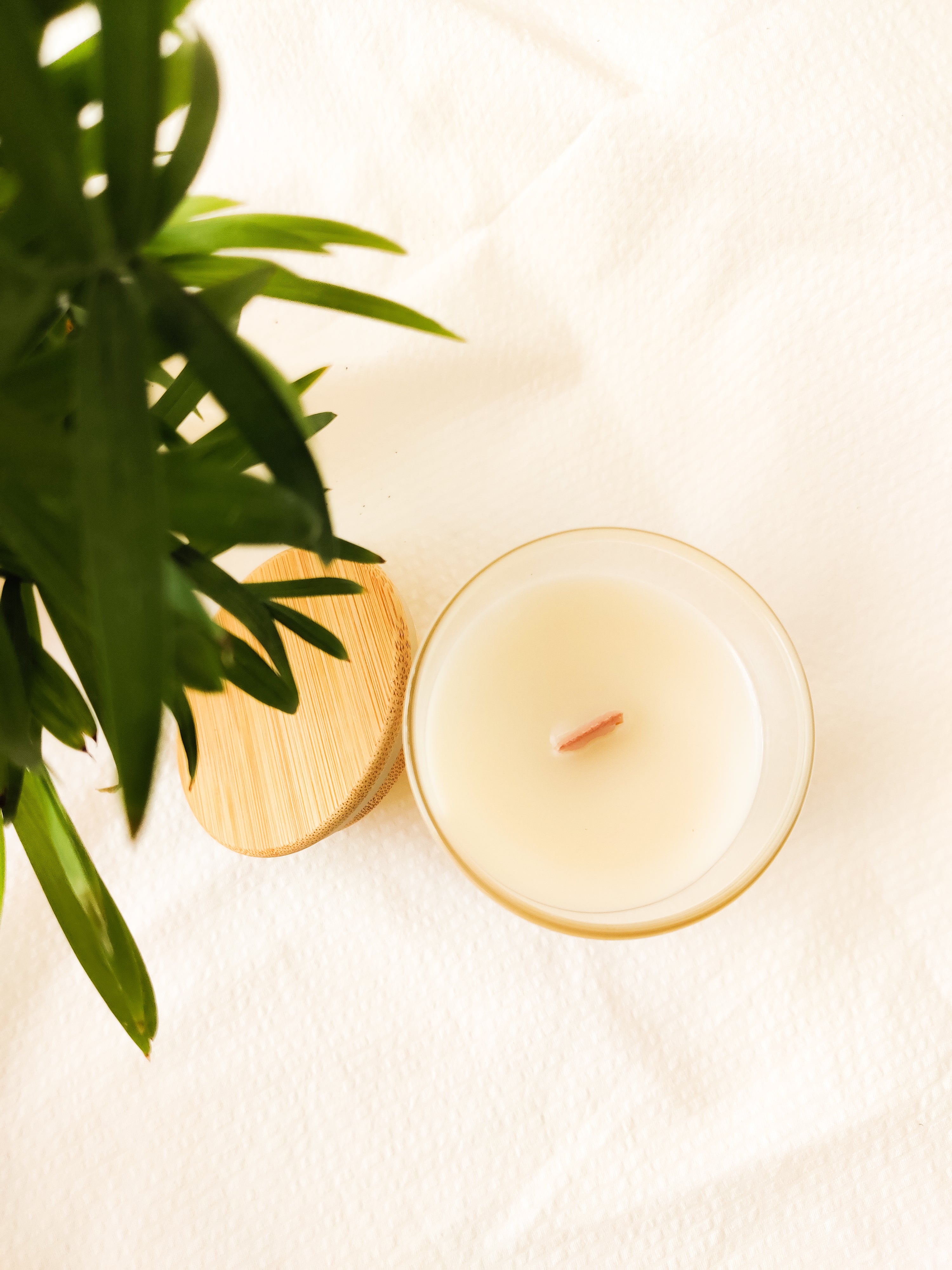 Glass Scented Candle : Cedar Rose Candle